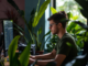 English speaking web developer Costa Rica