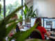 Web design services near me in Costa Rica
